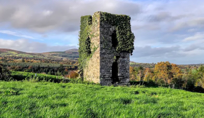Clomantagh Castle, Ireland
